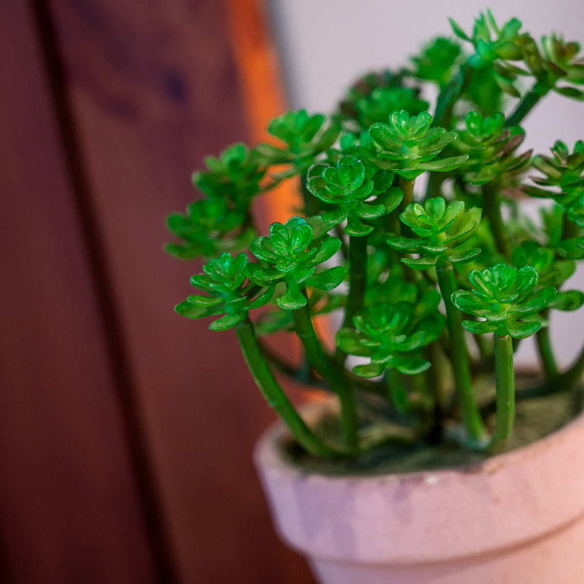 Artificial Plant in Pot