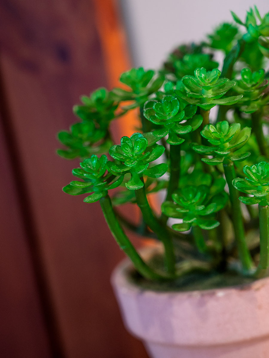 Artificial Plant in Pot