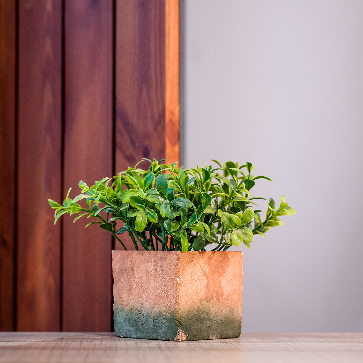 Artifical Plant in Pot