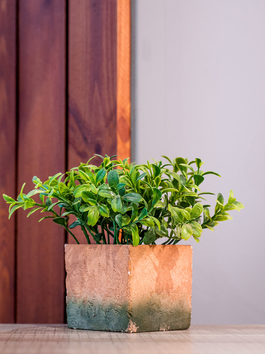 Artifical Plant in Pot