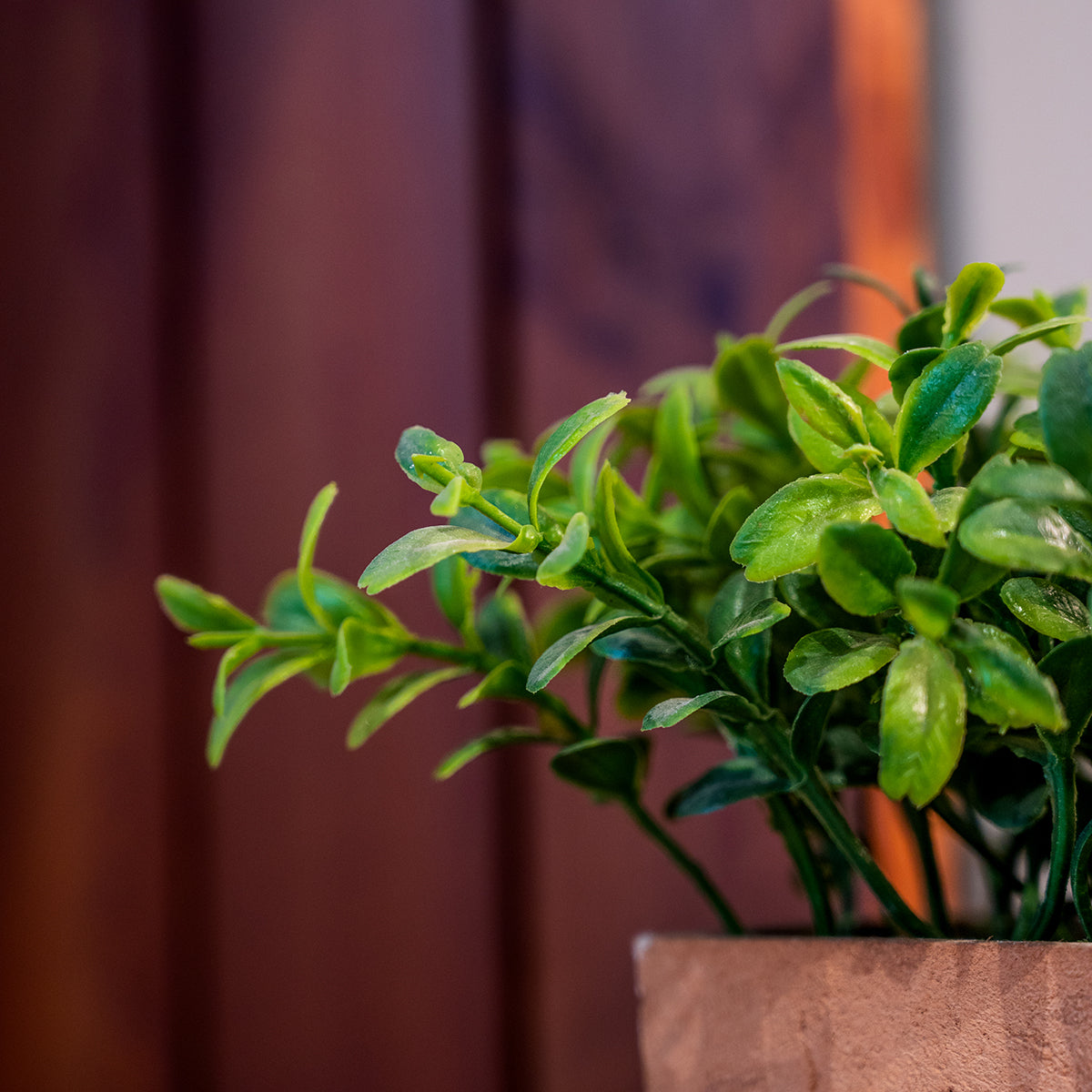 Artifical Plant in Pot