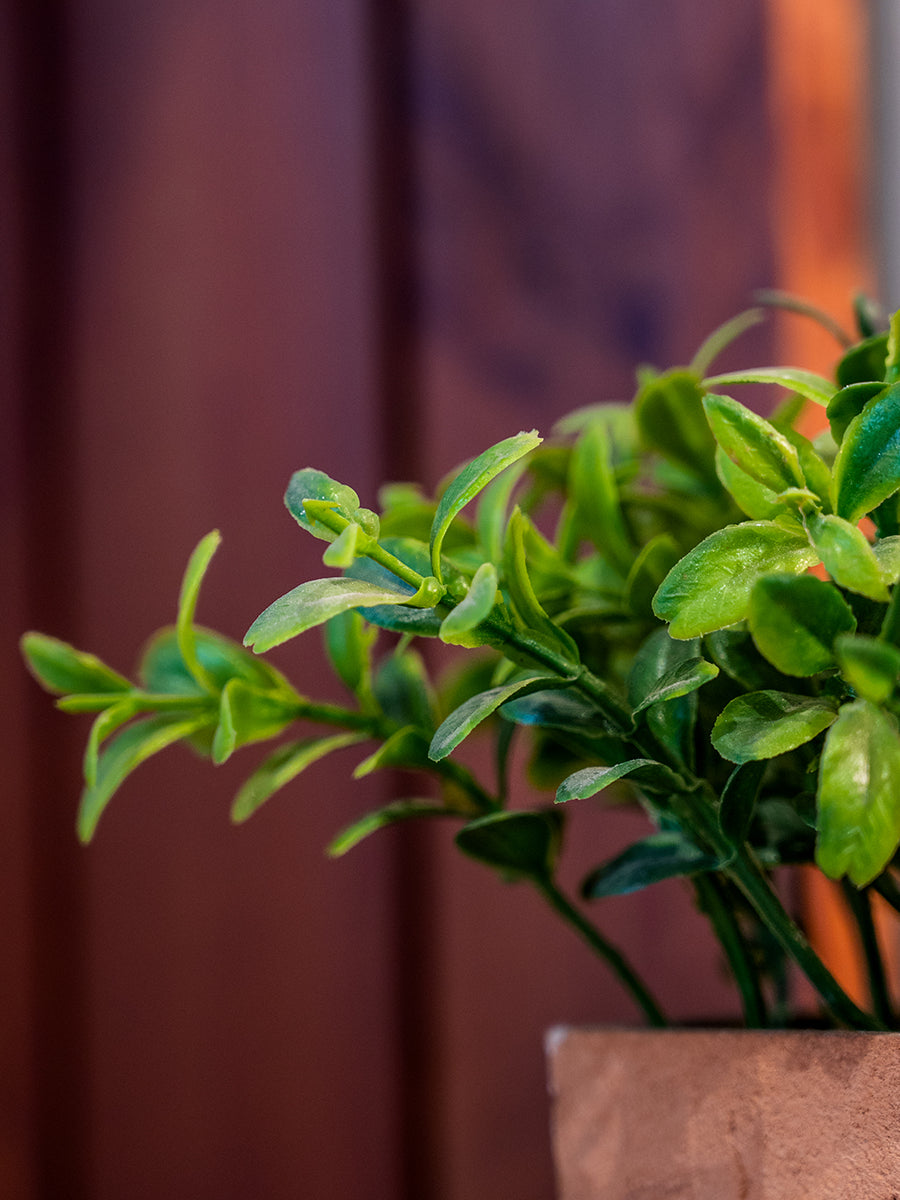 Artifical Plant in Pot