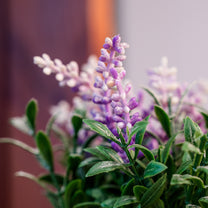 Artifical Plant in Pot