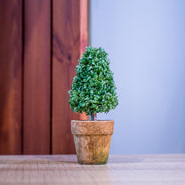 PVC Topiary In Pot