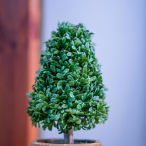 PVC Topiary In Pot
