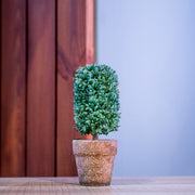 PVC Topiary In Pot