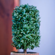 PVC Topiary In Pot