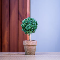PVC Topiary In Pot