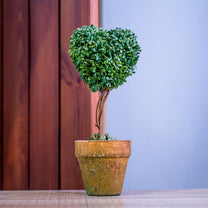 Pruned Heart/Bird Faux Greenery in pair