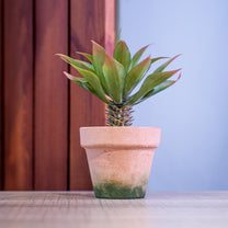 Artificial Plant in Pot