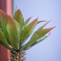 Artificial Plant in Pot