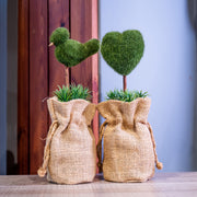 Heart/Bird Faux Greenery in Fiber Wrapped Pot in Pair