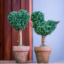 Pruned Heart/Bird Faux Greenery in pair