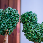 Pruned Heart/Bird Faux Greenery in pair