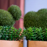 Heart/Bird Faux Greenery in Paper Pot in Pair