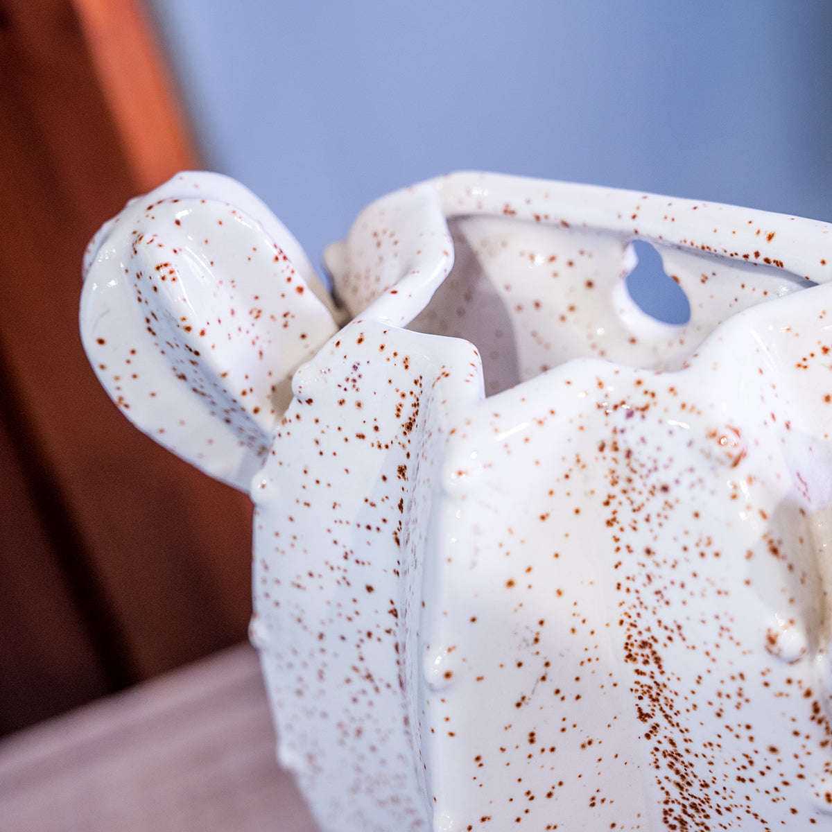 Stoneware Cactus Wall Vase