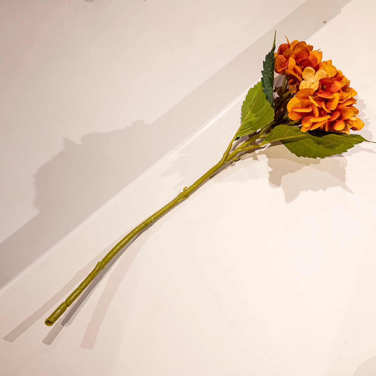Hydrangea, Orange, Small