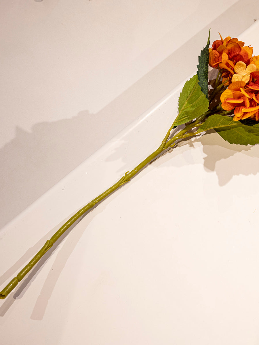 Hydrangea, Orange, Small