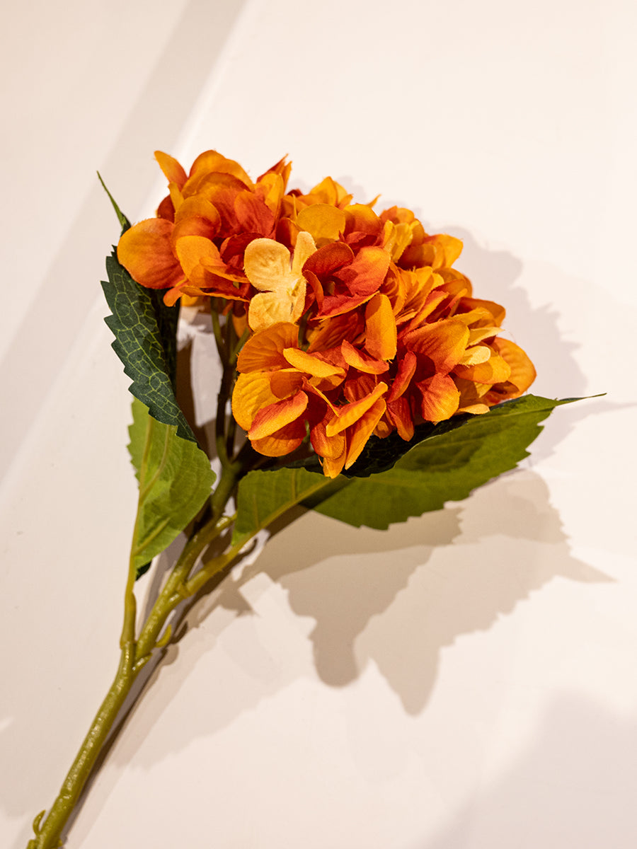 Hydrangea, Orange, Small