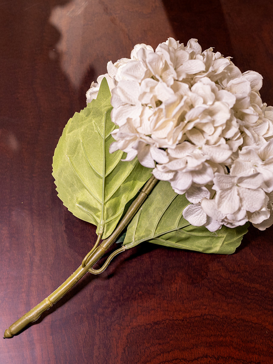 Large Hydrangea, Cream