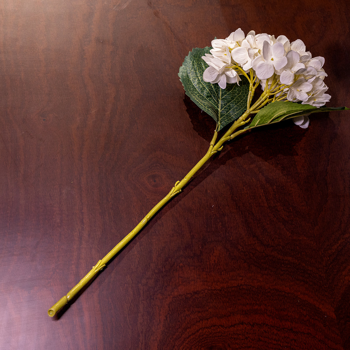 Hydrangea, White, Small