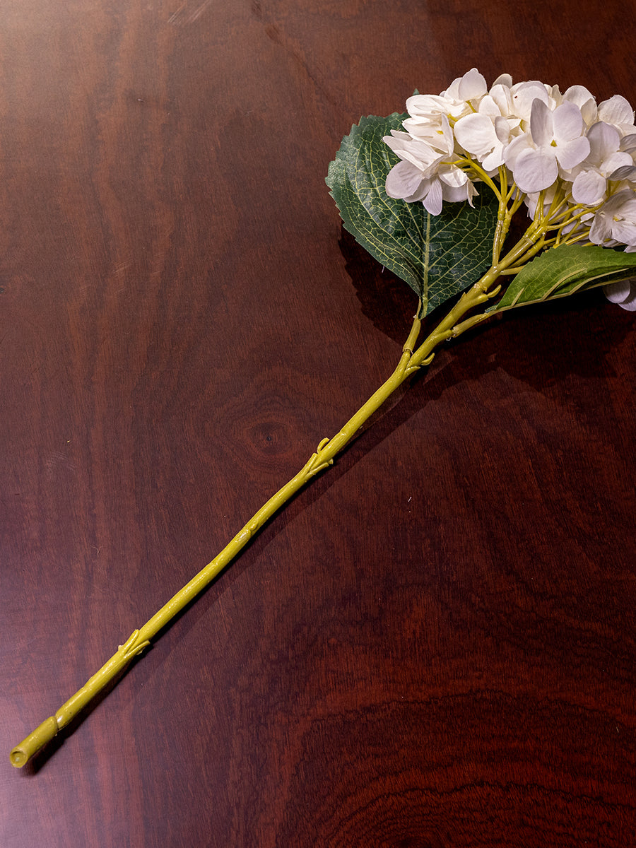 Hydrangea, White, Small