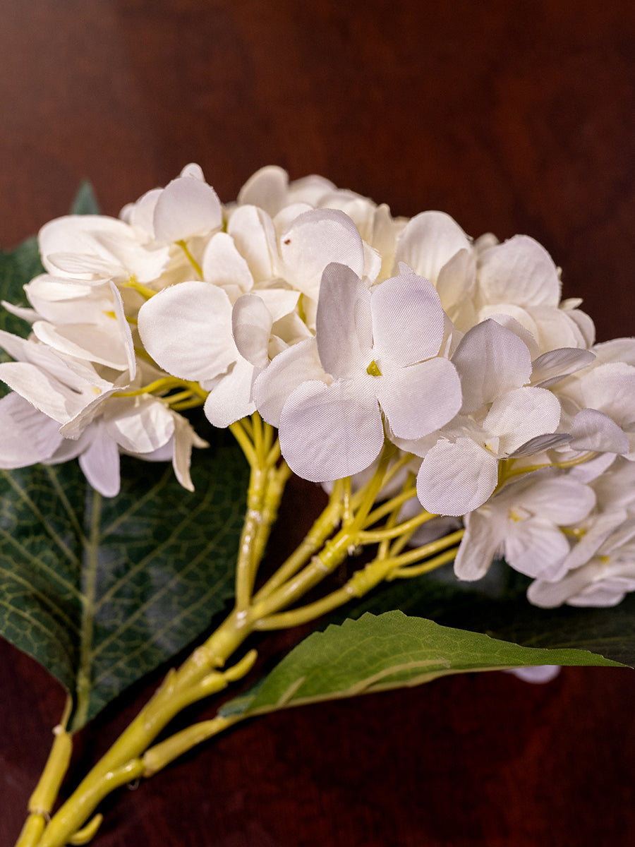 Hydrangea, White, Small
