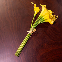 Calla Lily, 9 Flowers, Yellow