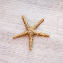 Round Resin Starfish Decoration, Brown
