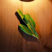 Cactus, Green