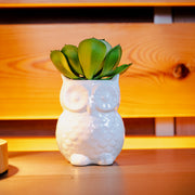 Small Gem Lotus Flower, Green