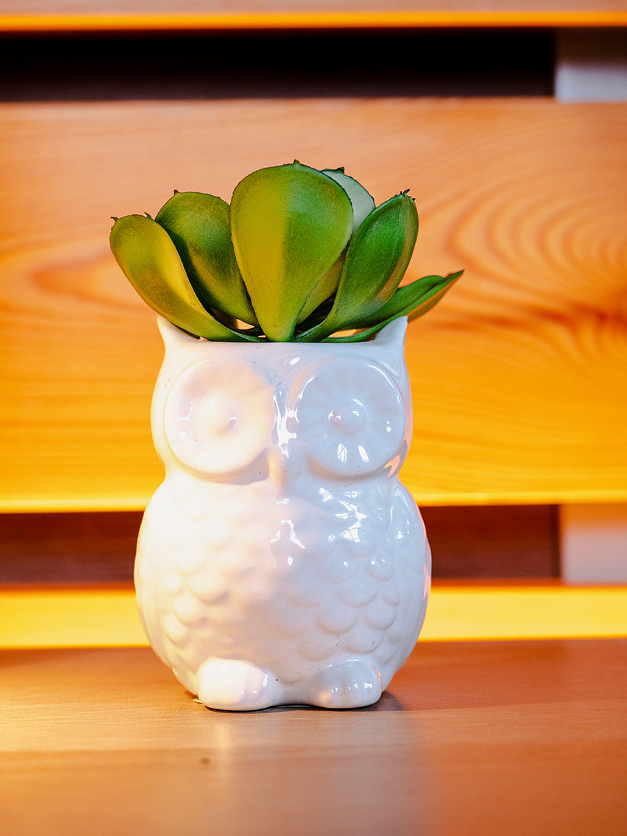 Small Gem Lotus Flower, Green