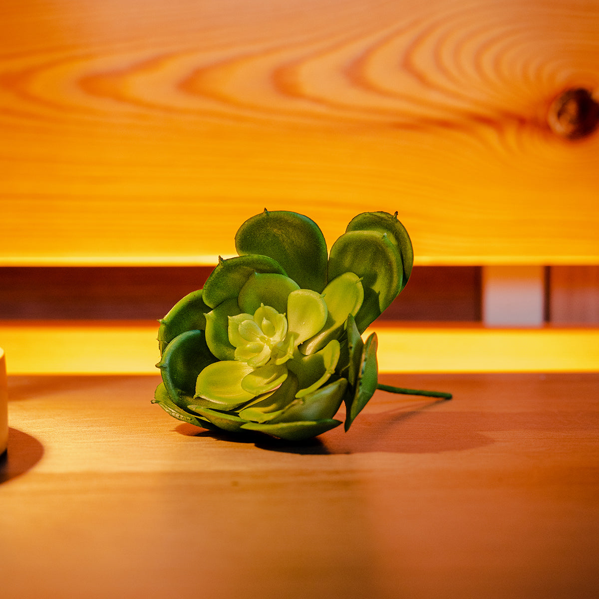 Small Gem Lotus Flower, Green