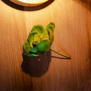 Small Gem Lotus Flower, Green