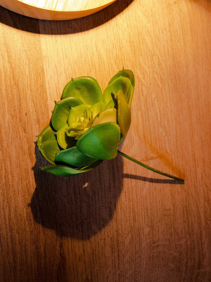 Small Gem Lotus Flower, Green