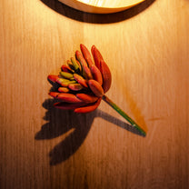 Chilli Fruit Plant, Red