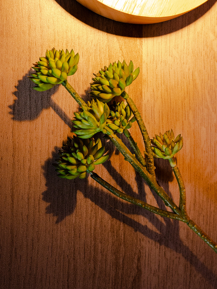 Small Lotus Flower, Green