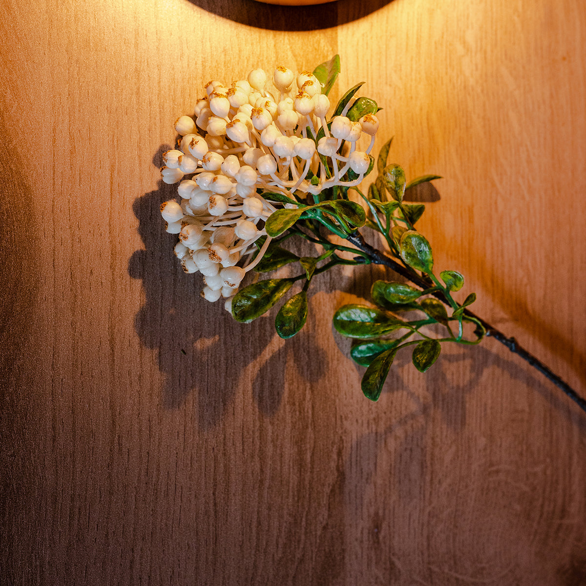 Berries, White