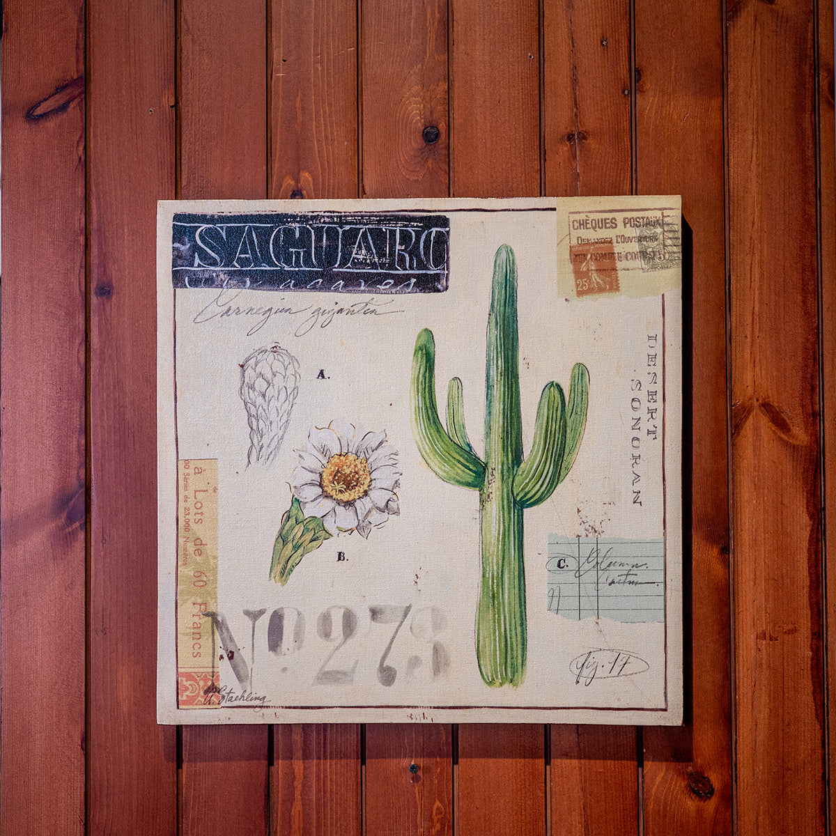Angela Canvas Wall Art w/ Cacti Image