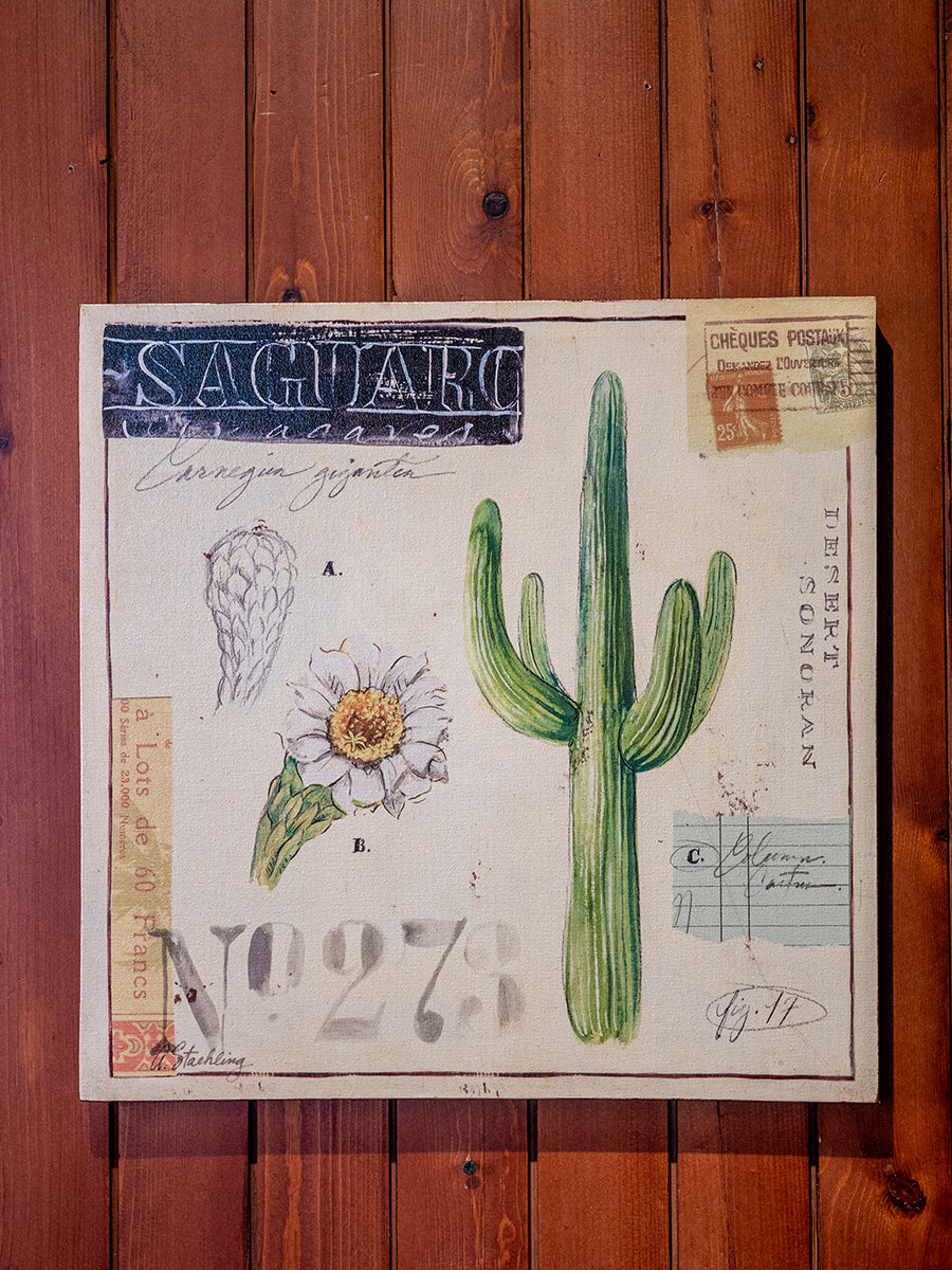 Angela Canvas Wall Art w/ Cacti Image