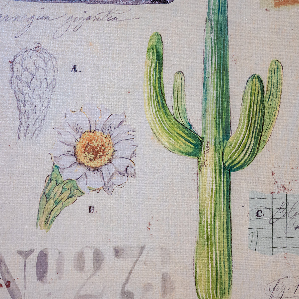 Angela Canvas Wall Art w/ Cacti Image