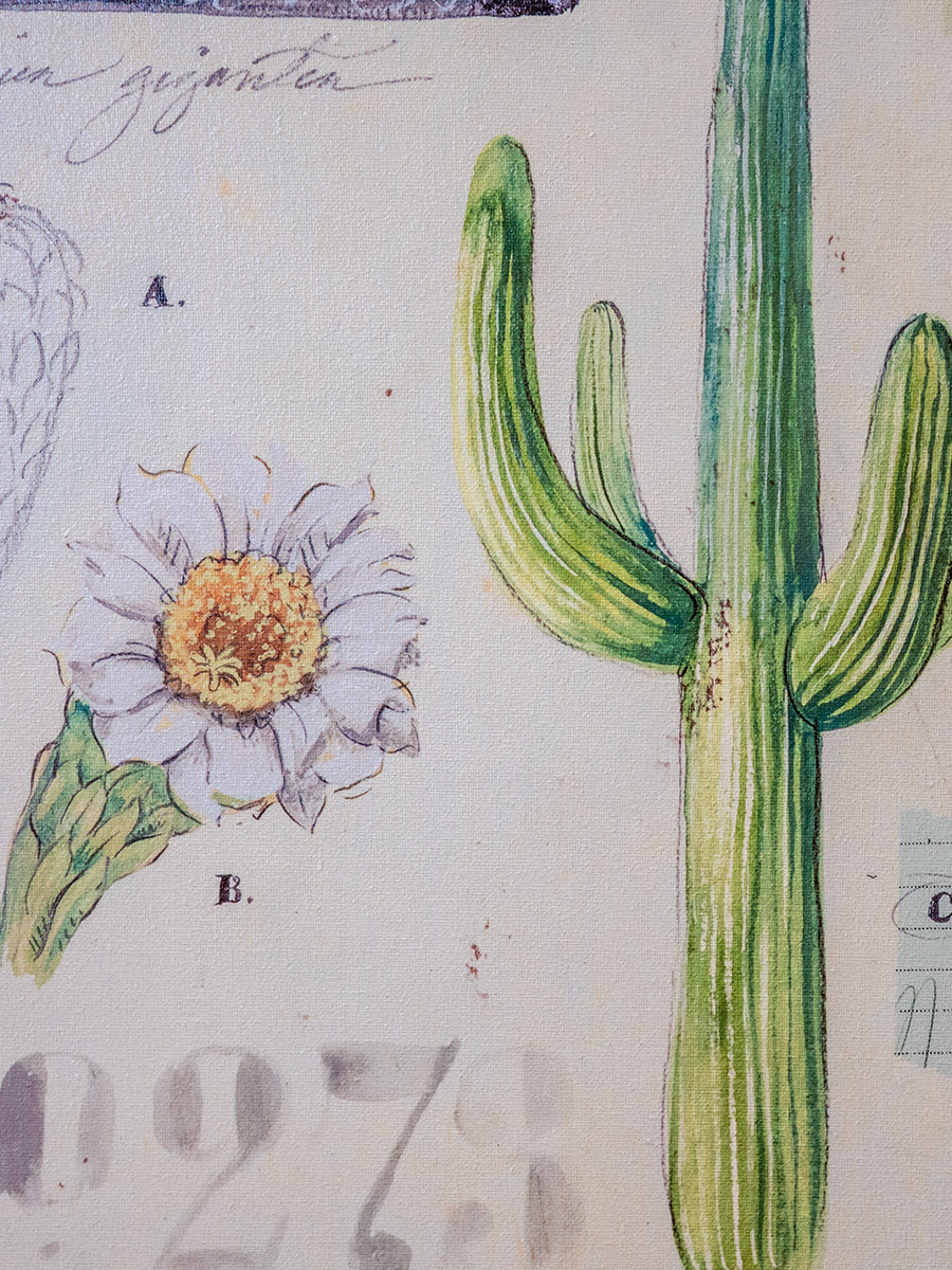 Angela Canvas Wall Art w/ Cacti Image