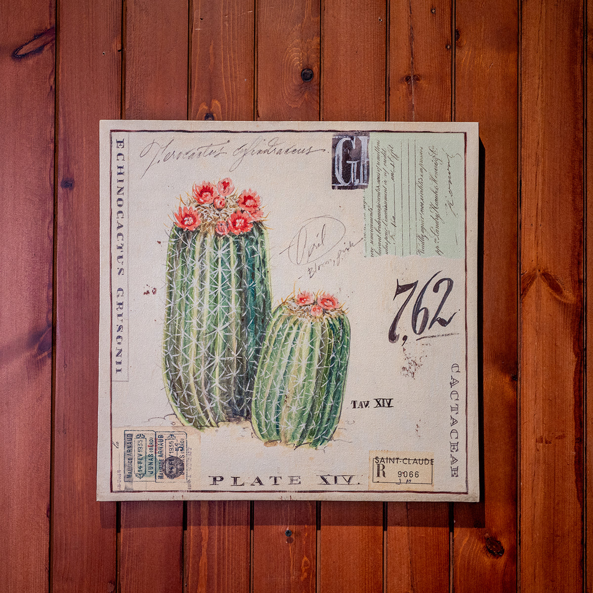 Angela Canvas Wall Art w/ Cacti Image