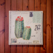 Angela Canvas Wall Art w/ Cacti Image