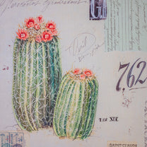 Angela Canvas Wall Art w/ Cacti Image