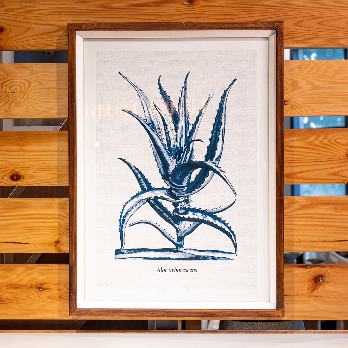 Fir Framed Wall Art w/ Cactus Image, Blue