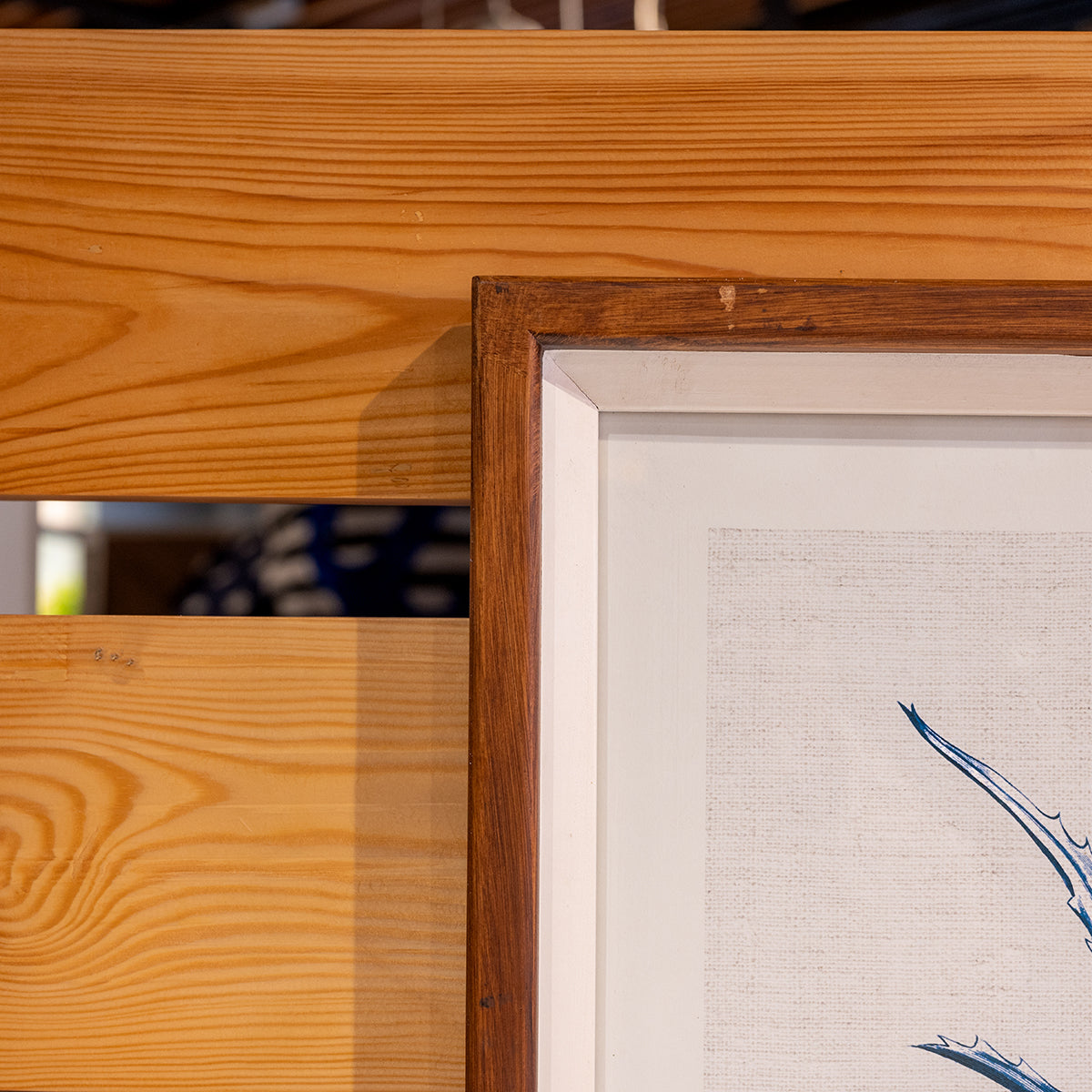 Fir Framed Wall Art w/ Cactus Image, Blue