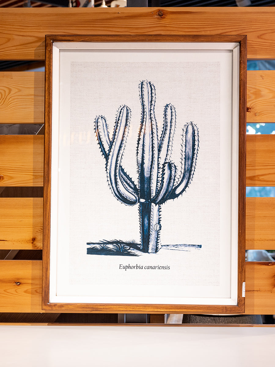 Fir Framed Wall Art w/ Cactus Image, Blue