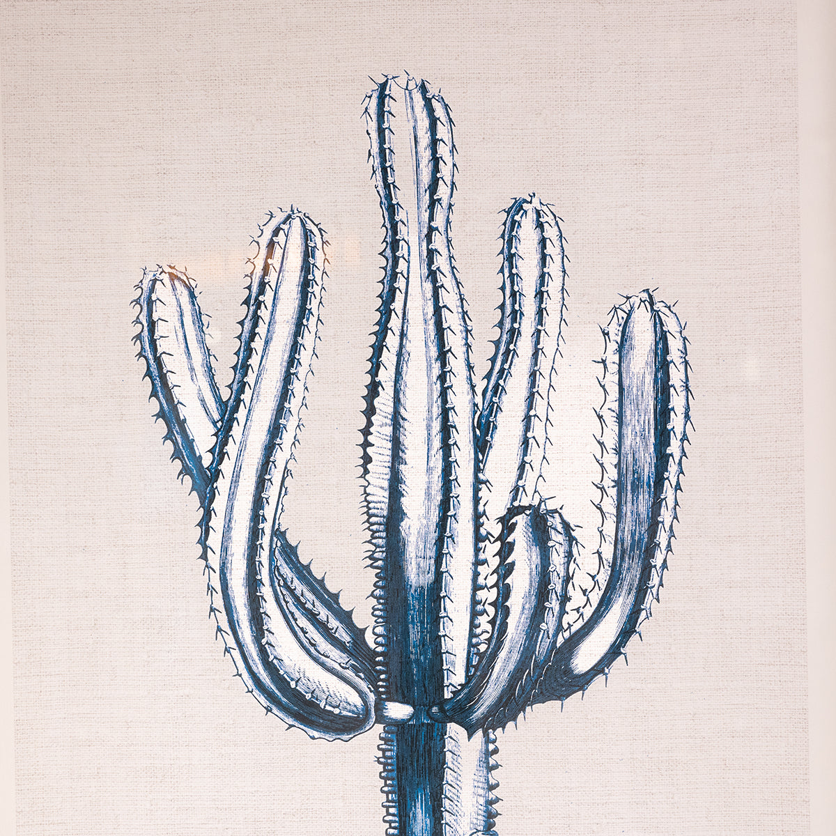Fir Framed Wall Art w/ Cactus Image, Blue