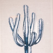 Fir Framed Wall Art w/ Cactus Image, Blue